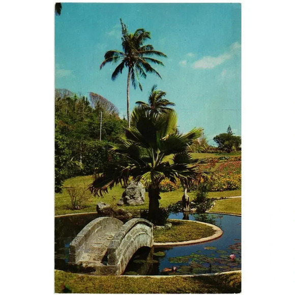 Palm Grove Gardens South Shore Bermuda Postcard - Picture 1 of 2